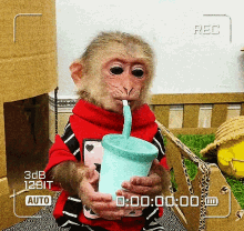 Funny Monkey Monkey GIF - Funny Monkey Monkey Slurping Monkey GIFs