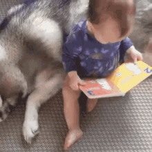 Dog Baby GIF - Dog Baby Book GIFs