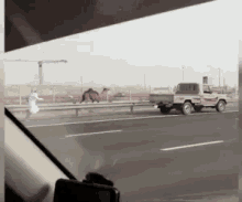Chase Camel GIF - Chase Camel GIFs