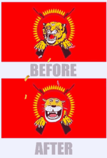 Ltte Before GIF - Ltte Before After GIFs
