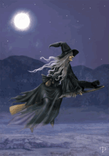 witch witches wicca wiccan bruxa