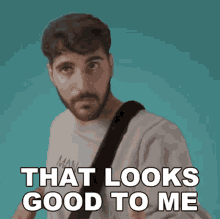 That Looks Good To Me Rudy Ayoub GIF - That Looks Good To Me Rudy Ayoub I Think It Looks Great GIFs