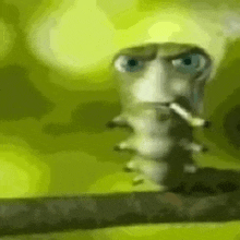 a close up of a caterpillar smoking a cigarette on a branch .