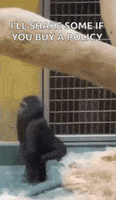 Monke Monkey GIF - Monke Monkey Twerking GIFs