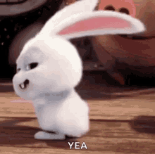 Yes Oh GIF - Yes Oh Dance GIFs