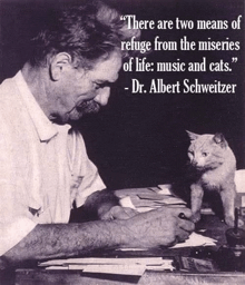 a man sits at a desk with a cat and a quote by dr. albert schweitzer