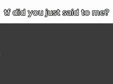 a picture of a robot with the words tf did you just said to me below it