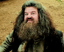 Amazed Face GIF - Hagrid Harry Potter GIFs