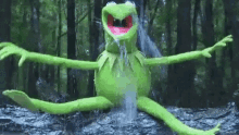 Kermit Wet GIF - Kermit Wet GIFs