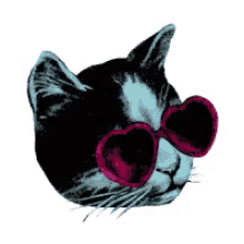 Gato Gafas GIF - Gato Gafas Lentes GIFs