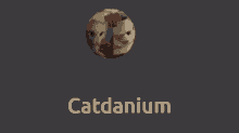 Catdanium Cat Dang GIF - Catdanium Cat Dang Cat Dane GIFs
