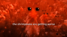 shrimp krill shrimptoms shrymptoms symptoms