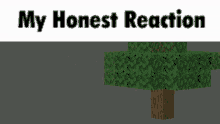 My Honest Reaction Minecraft GIF - My Honest Reaction Minecraft Tree GIFs