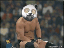 Topher Dogecoin Ca GIF