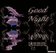 Good Night Dolphins GIF - Good Night Dolphins GIFs