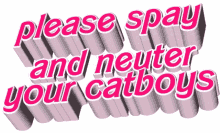 catboy anime spay neuter fixed