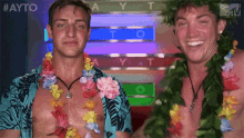 Grind Shake GIF - Grind Shake Hawaiian GIFs