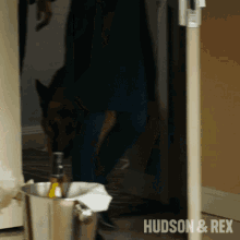 enters the door rex hudson and rex coming in enter