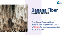 Banana Fiber Market Report 2024 GIF