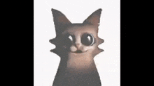a close up of a cat with big eyes looking at the camera .