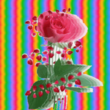 γιασενα Rose GIF - γιασενα Rose GIFs