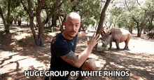 Huge Group Of White Rhinos Dean Schneider GIF
