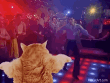 party dance cat