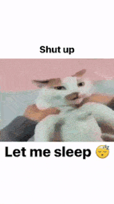 a cat is sitting on a person 's lap with the words shut up let me sleep below it .