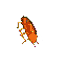 dancingroach roach