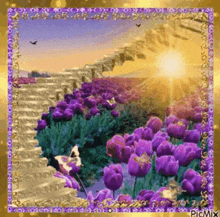 a picture of purple flowers and stairs with the sun shining through it