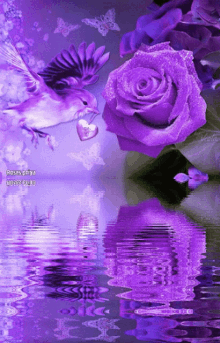 Beautiful Flower GIF - Beautiful Flower Water GIFs