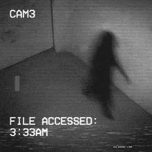 a black and white photo of a person with the words file accessed 3:33 am