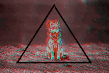 Wolf Triangle GIF - Wolf Triangle Trippy GIFs