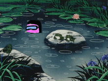 two frogs sit on a rock in a pond