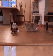 Cat Disguise GIF - Cat Disguise Mickey GIFs