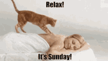 Relax Its Sunday Massage GIF - Relax Its Sunday Massage Cats GIFs