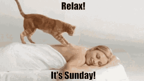 Relax Its Sunday Massage GIF - Relax Its Sunday Massage Cats - Discover &  Share GIFs