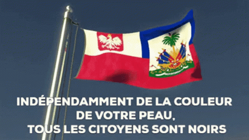 haitian flag animation