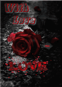 a black and white photo with red roses and the word love in red letters