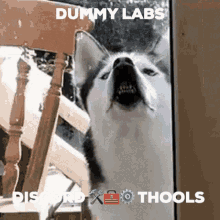 Thools Dummylabs GIF - Thools Dummylabs Dummylabz GIFs
