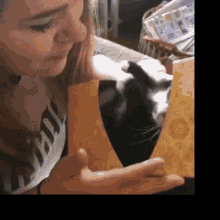 Gato Caja Beso Cat Box Kiss GIF