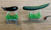 a black eggplant and a green cucumber are sitting on green stands on a wooden table