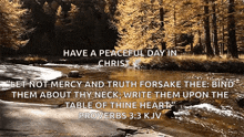 a picture of a river with the words have a peaceful day in christ above it