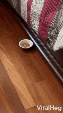 Dont Take My Food This Is Mine GIF - Dont Take My Food This Is Mine Cat Hiding Food GIFs