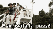 One Direction Pizza è Arrivata La Pizza Correre GIF - One Direction Pizza Pizza Is Ready GIFs