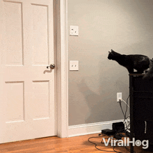Opening The Door Viralhog GIF - Opening The Door Viralhog Entering The Door GIFs