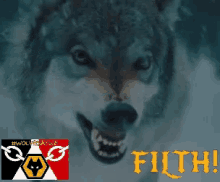 Wolves Wolf GIF - Wolves Wolf GIFs