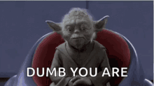 Yoda Dumb GIF - Yoda Dumb Dumb You Are GIFs