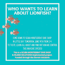 Lionfish Scuba Montserrat GIF