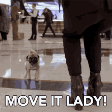 Move It Lady Alien GIF - Move It Lady Alien Dog GIFs
